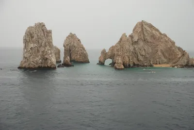 DSC_60050 (Large).JPG